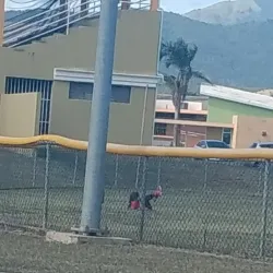 Parque de Guayama - Guayama