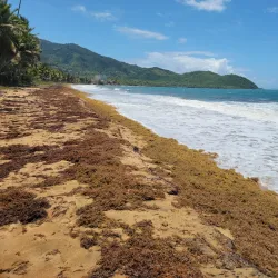 Reserva Natural Punta Tuna - Guayama