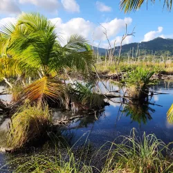 Reserva Natural Punta Tuna - Guayama