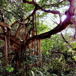 Reserva Natural Punta Tuna - Guayama