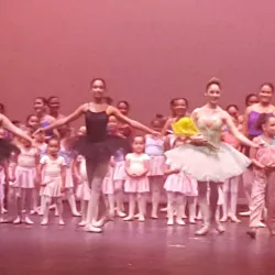 Centro de Bellas Artes de Guaynabo - Guaynabo