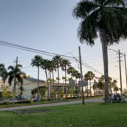 Museo de Arte de Guaynabo - Guaynabo