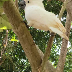 Parque de la Familia - Guaynabo