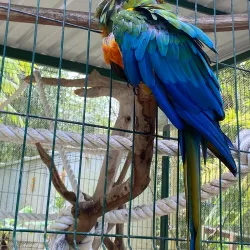 Parque Ecológico Urbano de Guaynabo - Guaynabo