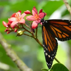 Parque Ecológico Urbano de Guaynabo - Guaynabo