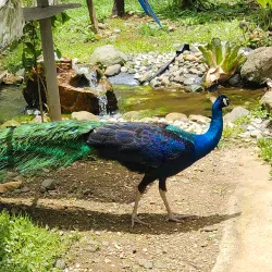 Parque Ecológico Urbano de Guaynabo - Guaynabo