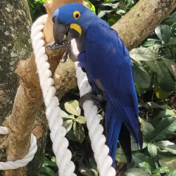 Parque Ecológico Urbano de Guaynabo - Guaynabo