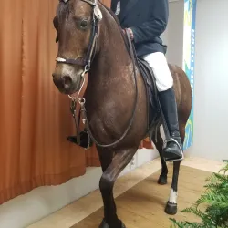 Casa Museo de la Cultura de Gurabo - Gurabo