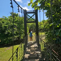 Hacienda La Fe - Gurabo