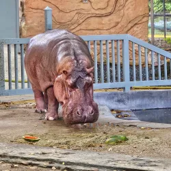 Parque de las Ciencias de Gurabo - Gurabo