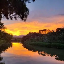 Parque Ecológico de Gurabo - Gurabo