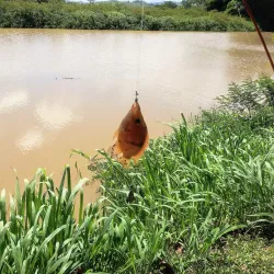 Parque Ecológico de Gurabo - Gurabo