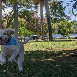 Parque Luis Muñoz Marín - Gurabo