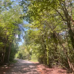 Reserva Natural Laguna El Guineo - Gurabo