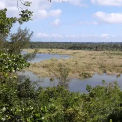 Reserva Natural Laguna El Guineo - Gurabo