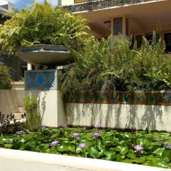 Casa Roig Museum - Humacao