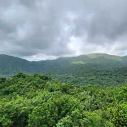 El Yunque National Forest (nearby) - Humacao