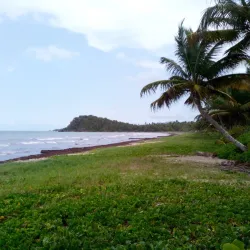 Humacao Beach (Playa Punta Santiago) - Humacao