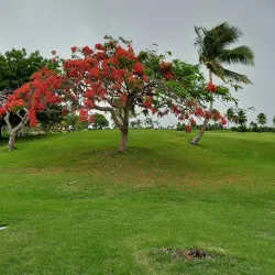 Humacao Golf Club - Humacao