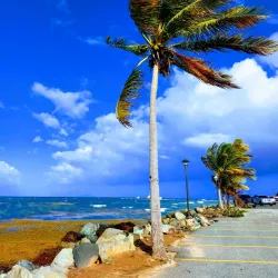 Humacao Marina - Humacao