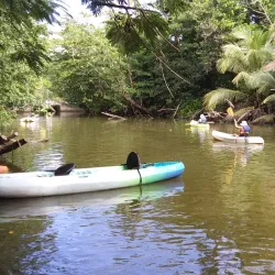 Humacao Nature Reserve (Reserva Natural de Humacao) - Humacao