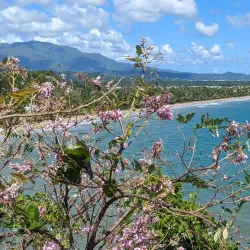 Humacao Nature Reserve (Reserva Natural de Humacao) - Humacao