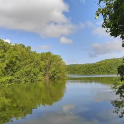 Humacao Nature Reserve (Reserva Natural de Humacao) - Humacao