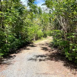 Humacao Nature Reserve (Reserva Natural de Humacao) - Humacao