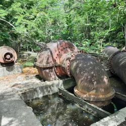 Humacao Nature Reserve (Reserva Natural de Humacao) - Humacao