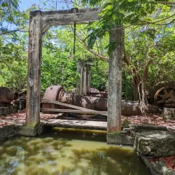 Humacao Nature Reserve (Reserva Natural de Humacao) - Humacao