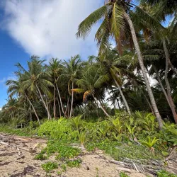 Humacao Nature Reserve (Reserva Natural de Humacao) - Humacao