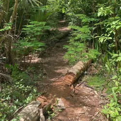 Punta Santiago Lighthouse - Humacao