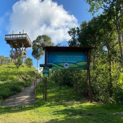 Guajataca Forest Reserve - Isabela