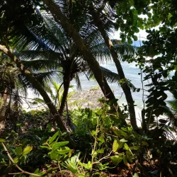 Jobos Beach (Playa Jobos) - Isabela