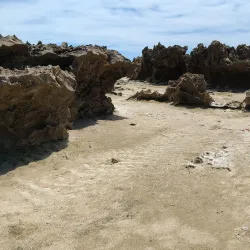 Pozo Brujo - Isabela