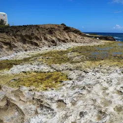 Pozo Brujo - Isabela