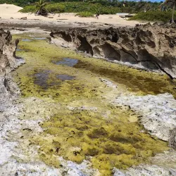 Pozo Brujo - Isabela