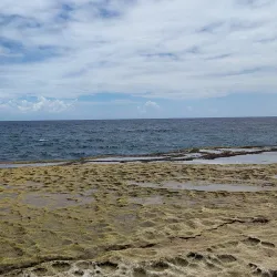 Pozo Brujo - Isabela