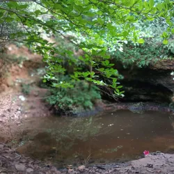 Pozo Brujo - Isabela