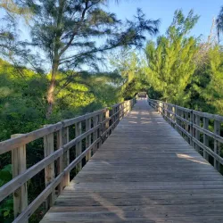 Pozo de Jacinto - Isabela