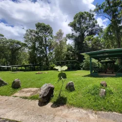 Bosque Estatal de Toro Negro - Jayuya