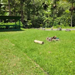 Bosque Estatal de Toro Negro - Jayuya