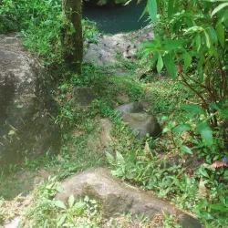 Bosque Estatal de Toro Negro - Jayuya