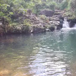 Bosque Estatal de Toro Negro - Jayuya