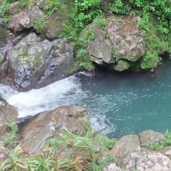 Bosque Estatal de Toro Negro - Jayuya