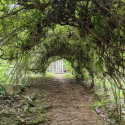 Centro Ceremonial Indígena de Caguana - Jayuya
