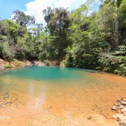 Bosque Estatal de Carite - Juncos