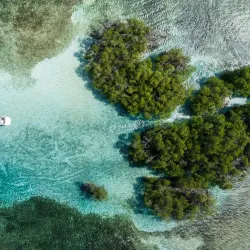 Boat Tours and Water Sports - La Parguera (Lajas)