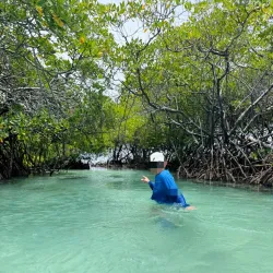 Boat Tours and Water Sports - La Parguera (Lajas)