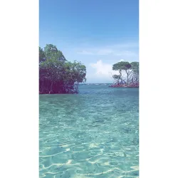 Cayo Enrique (Enrique Island) - La Parguera (Lajas)